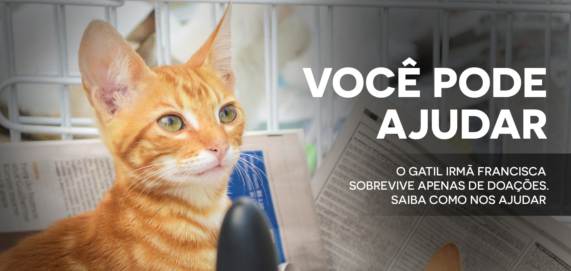 Você pode ajudar