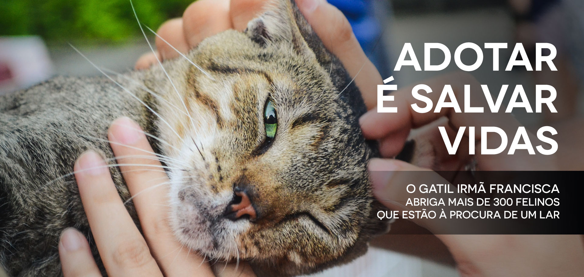 Adotar é salvar vidas!